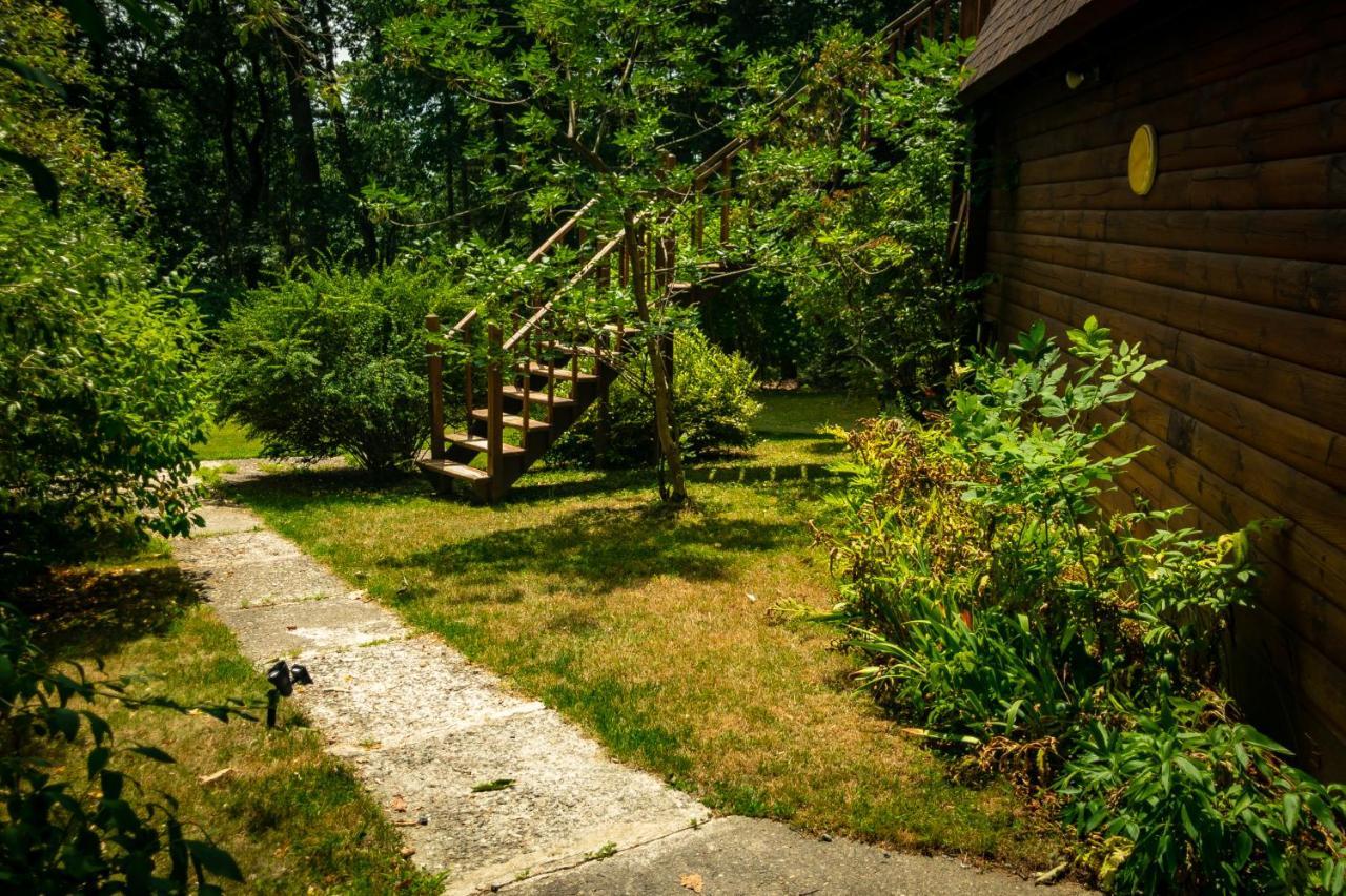 워츠버러 Hikers Haven, A Cozy Cabin Loft Above Bashakill Wildlife Refuge 빌라 외부 사진